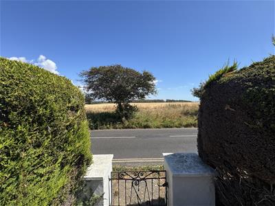 Picture 27